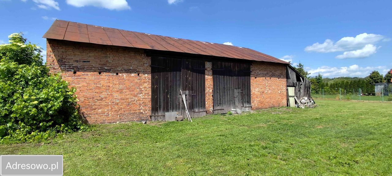 siedlisko, 4 pokoje Gola Górowska. Zdjęcie 19