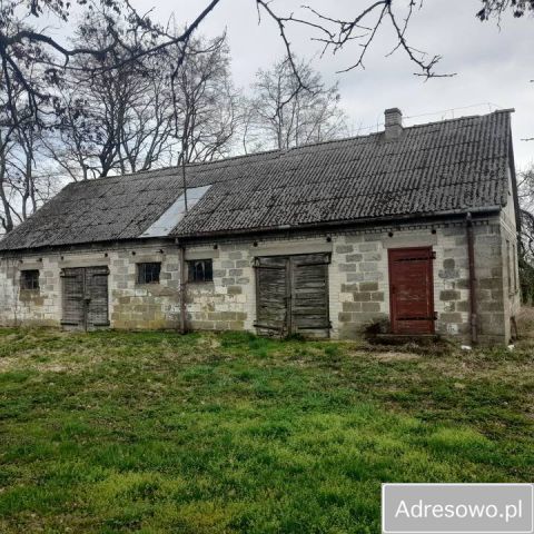 Działka siedliskowa Stare Święcice Nowe Święcice. Zdjęcie 1