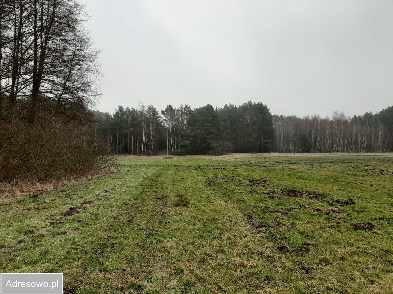 Działka rolna Nowe Kwiejce. Zdjęcie 4