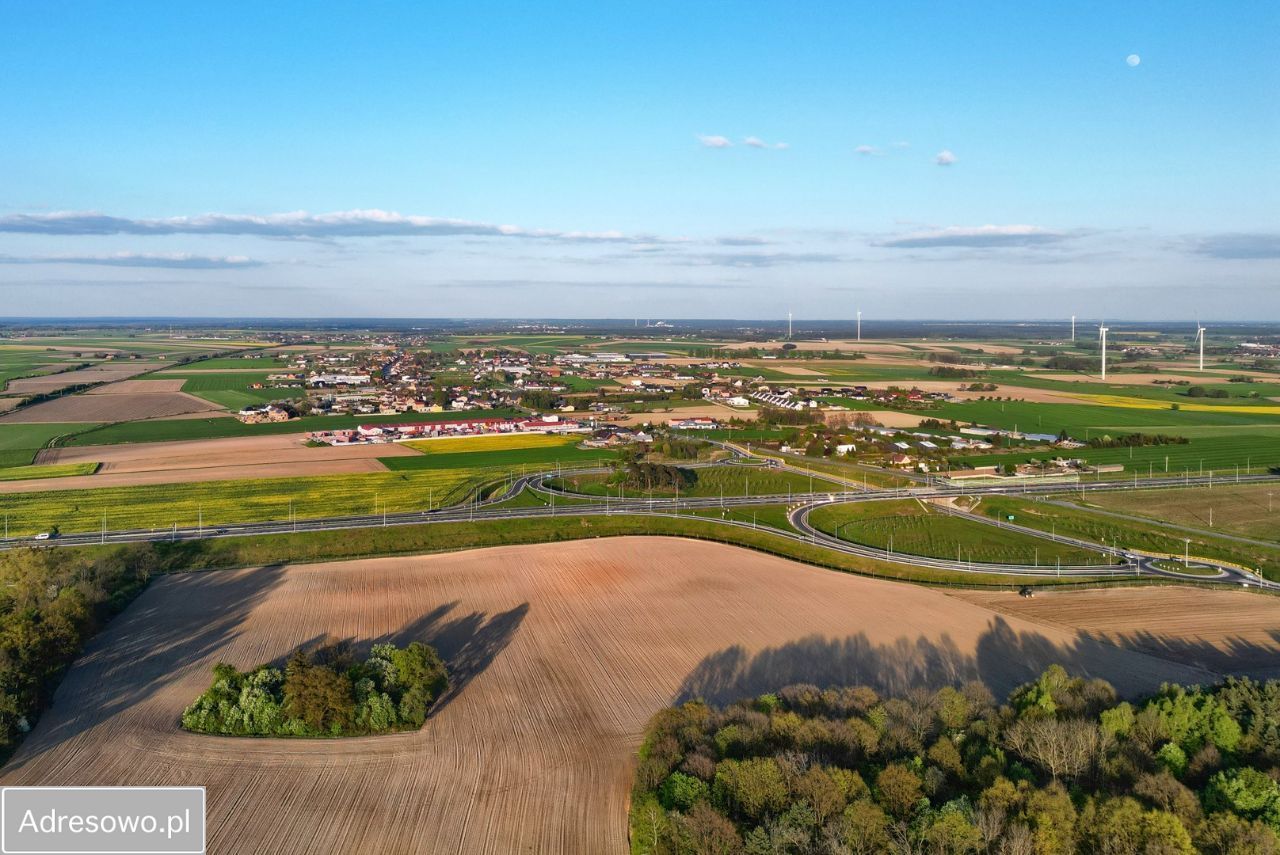 Działka inwestycyjna Krążkowy. Zdjęcie 4