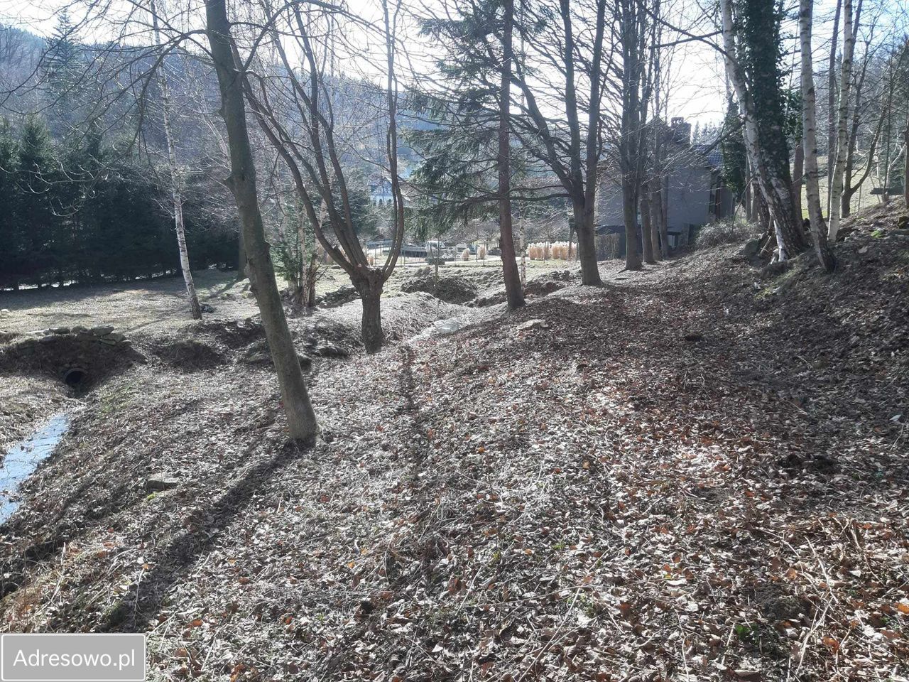 Działka budowlana Pieszyce Lasocin. Zdjęcie 9