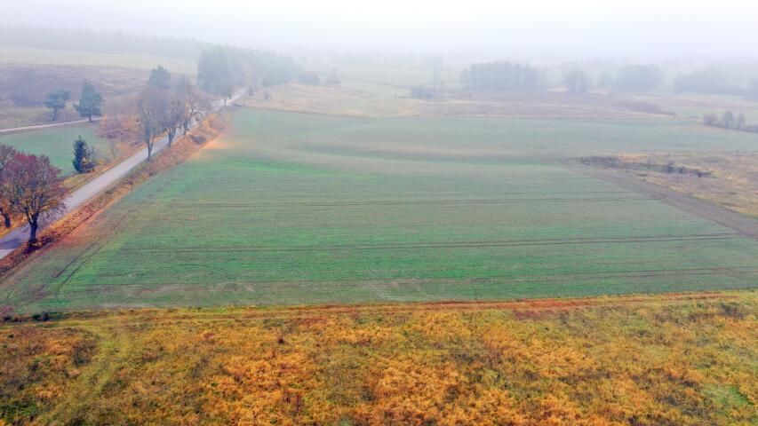 Działka rolna Dziubiele. Zdjęcie 3