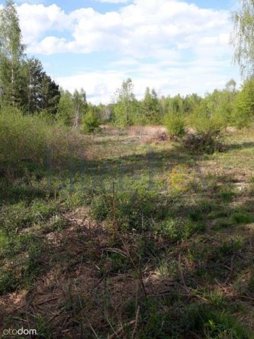 Działka rolna Szumlin. Zdjęcie 2