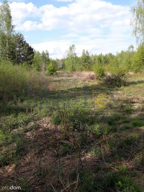 Działka rolna Szumlin. Zdjęcie 2