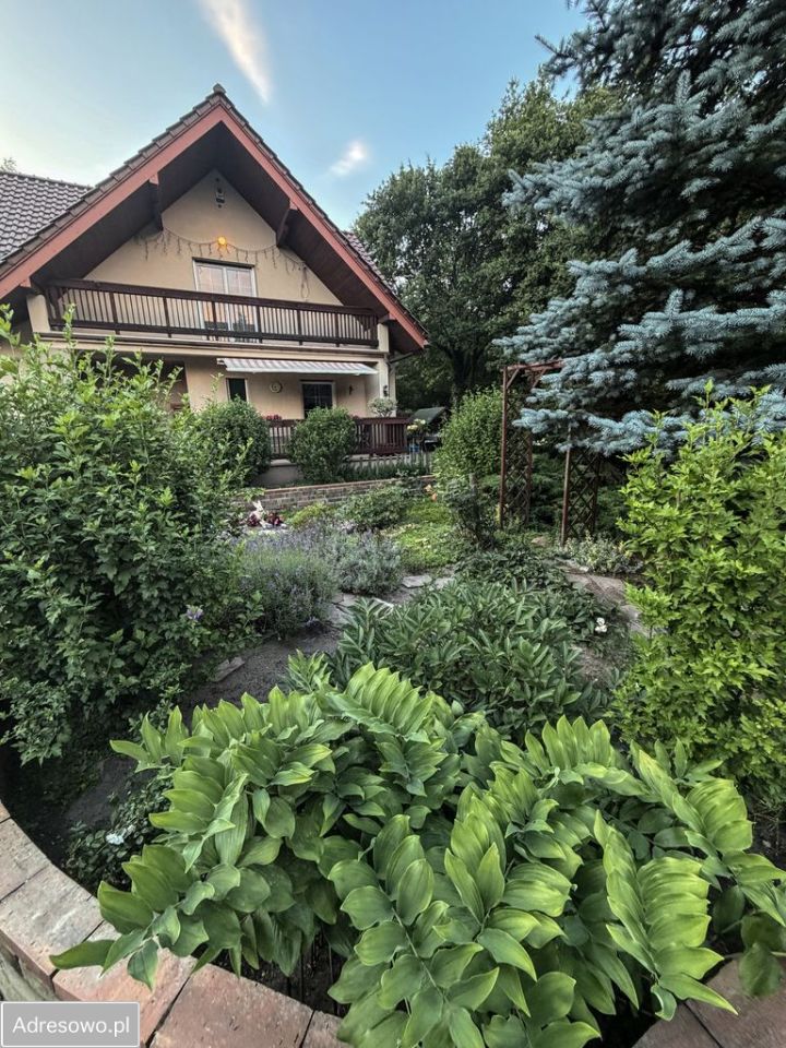 dom wolnostojący, 7 pokoi Kolonia Brużyca. Zdjęcie 6