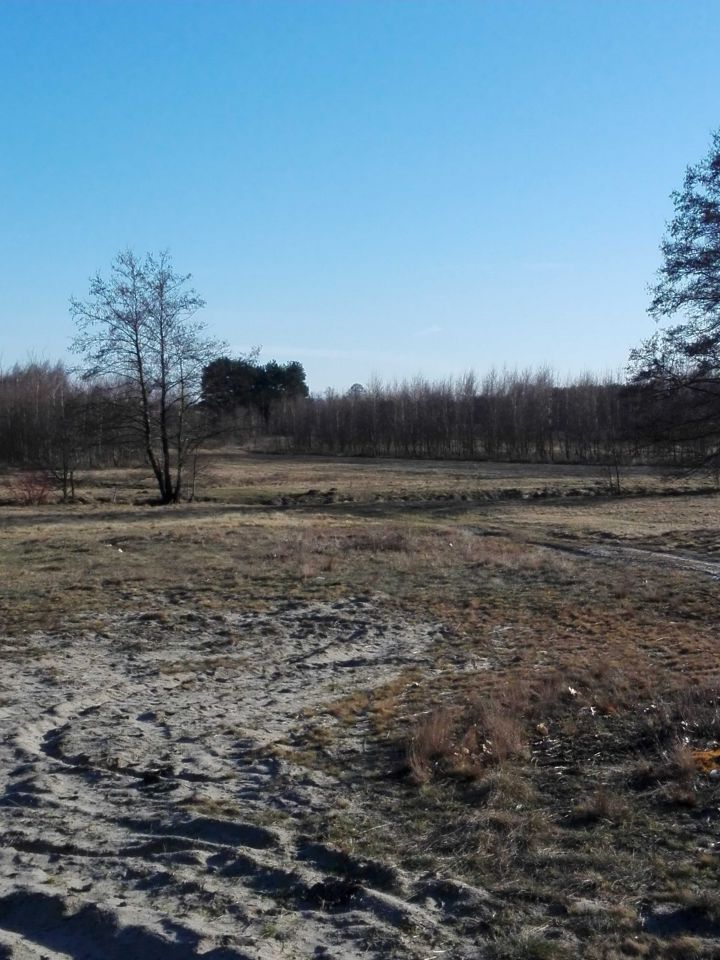 Działka inwestycyjna Ostrówek. Zdjęcie 7