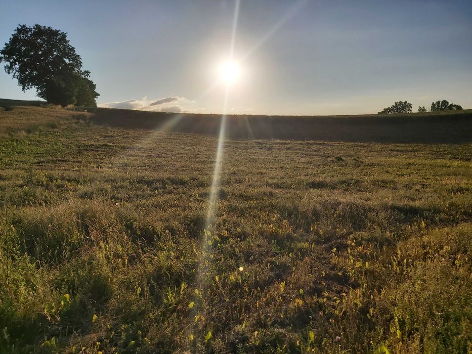 Działka budowlana Marcelin. Zdjęcie 3