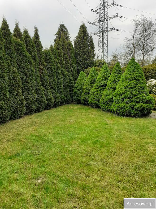 Działka rod Kraków Golikówka. Zdjęcie 7