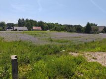 Działka inna Pogorzelec. Zdjęcie 2