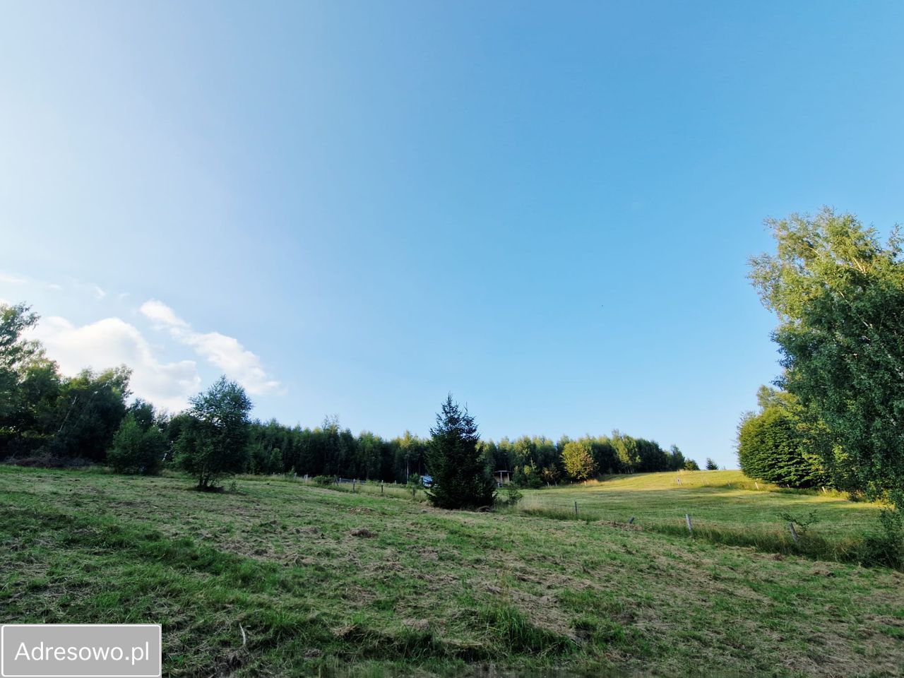 Działka rolno-budowlana Szarocin. Zdjęcie 9