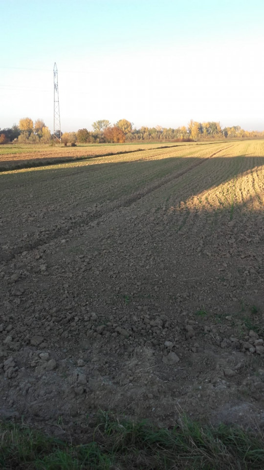 Działka rolno-budowlana Podleszany. Zdjęcie 7