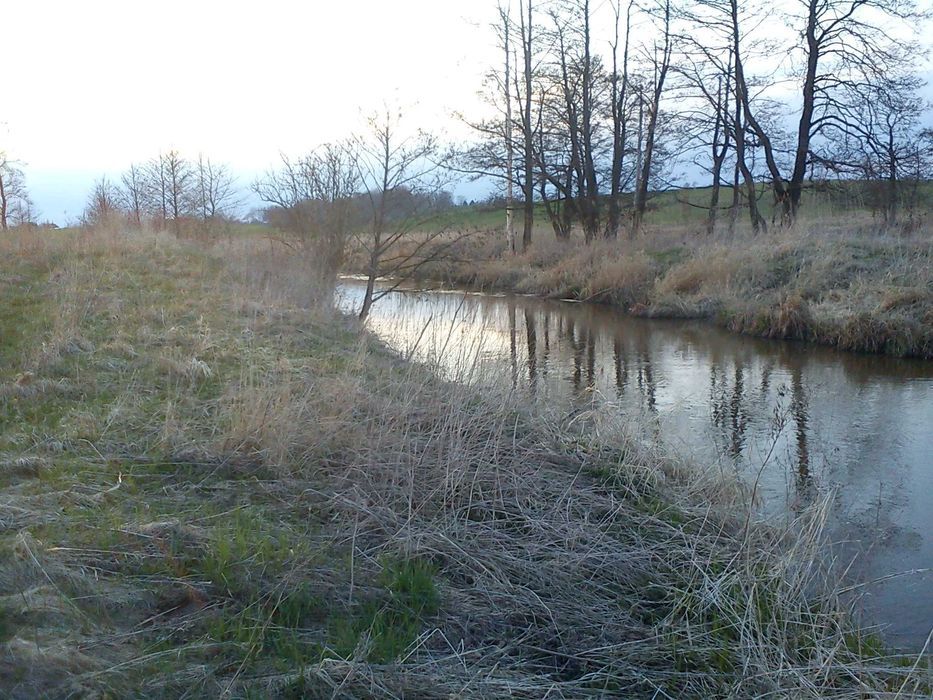 Działka rolna Wilkiejmy. Zdjęcie 3