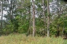 Działka rolna Józefowo. Zdjęcie 1