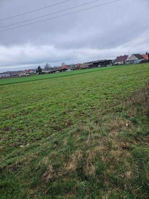 Działka budowlana Filice. Zdjęcie 5