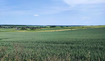 Działka rolna Łabunie, ul. Lipowa