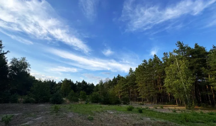 Działka budowlana Malcanów