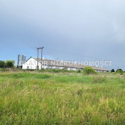 Hala/magazyn Rutwica. Zdjęcie 7