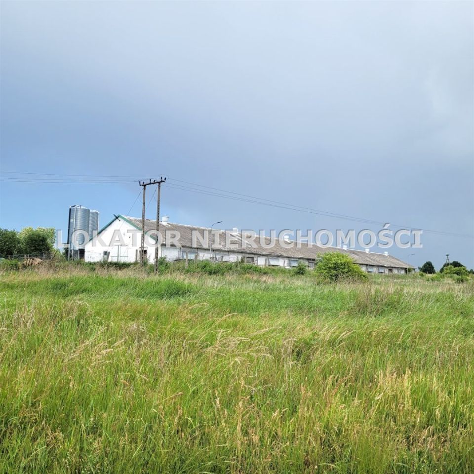 Hala/magazyn Rutwica. Zdjęcie 7