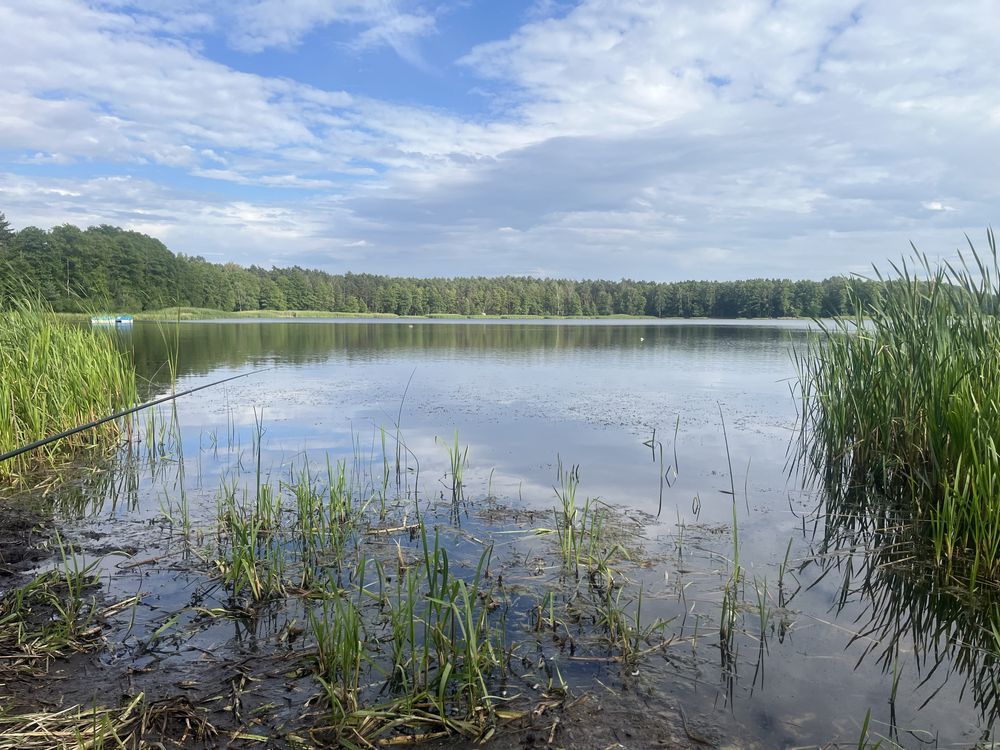 Działka budowlana Orchówek, ul. Piaskowa. Zdjęcie 7
