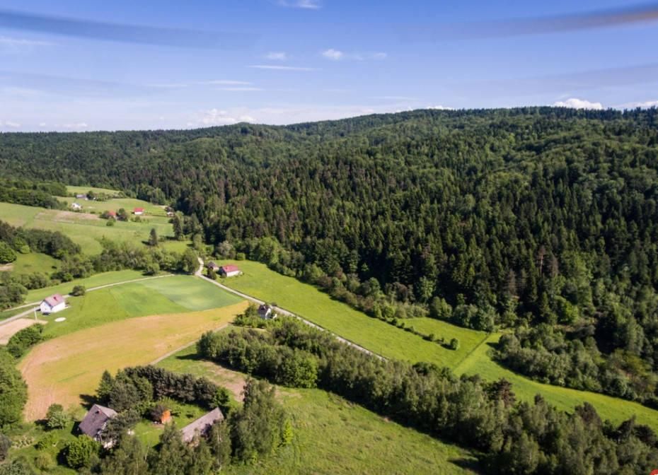 Działka budowlana Roztoka-Brzeziny Majdan. Zdjęcie 5