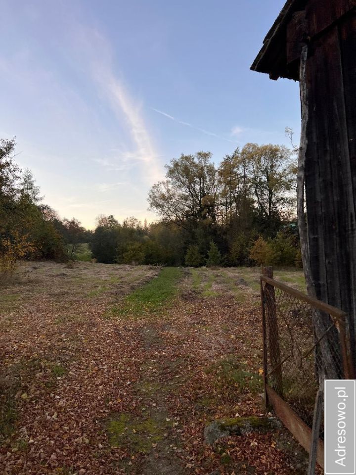 gospodarstwo, 3 pokoje Skopów. Zdjęcie 18