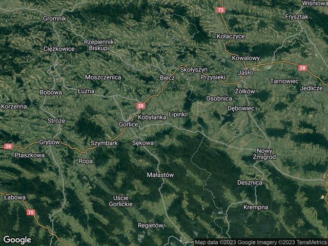 Działka inwestycyjna Kryg. Zdjęcie 1