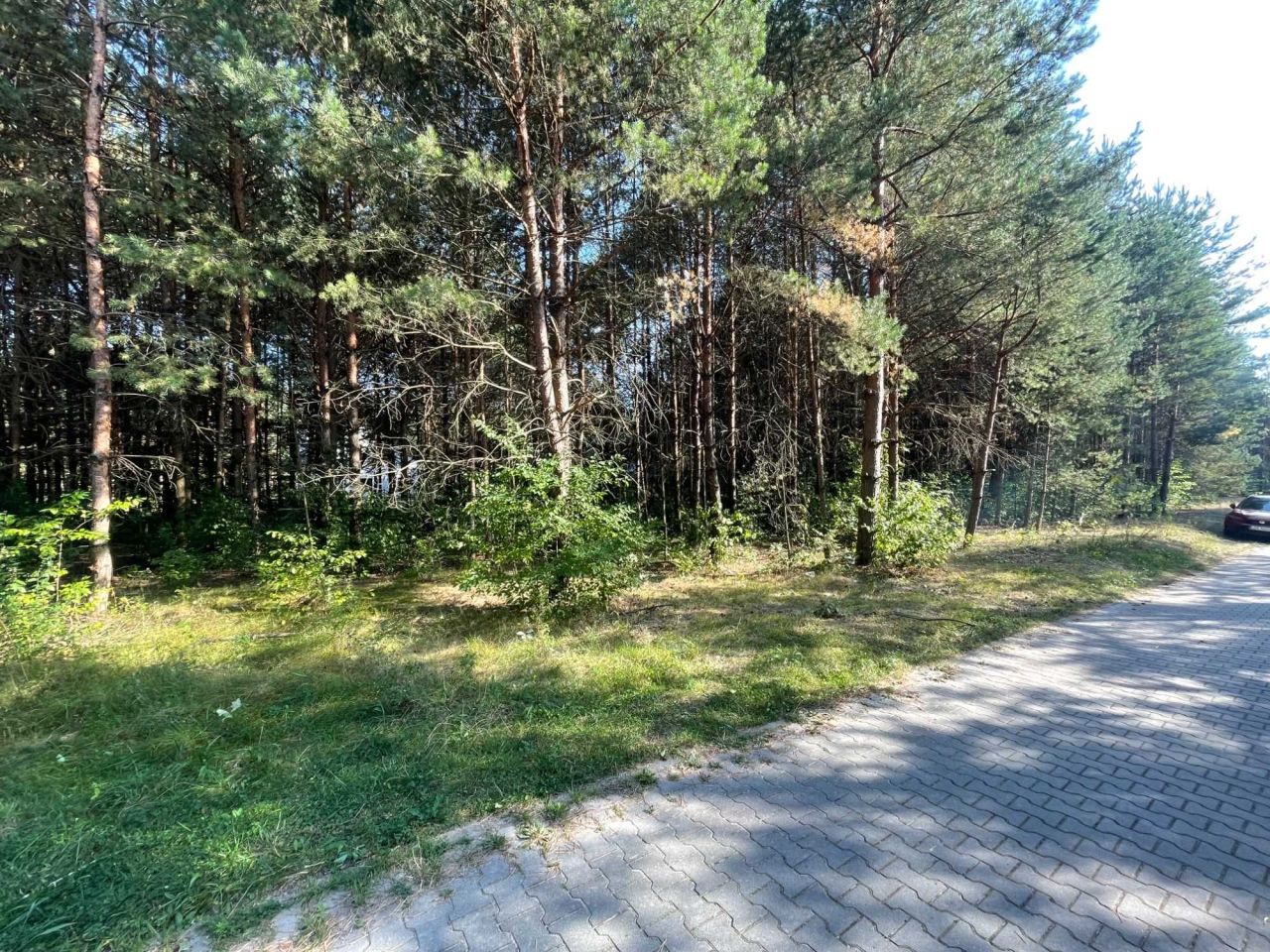 Działka budowlana Trzepieciny. Zdjęcie 2