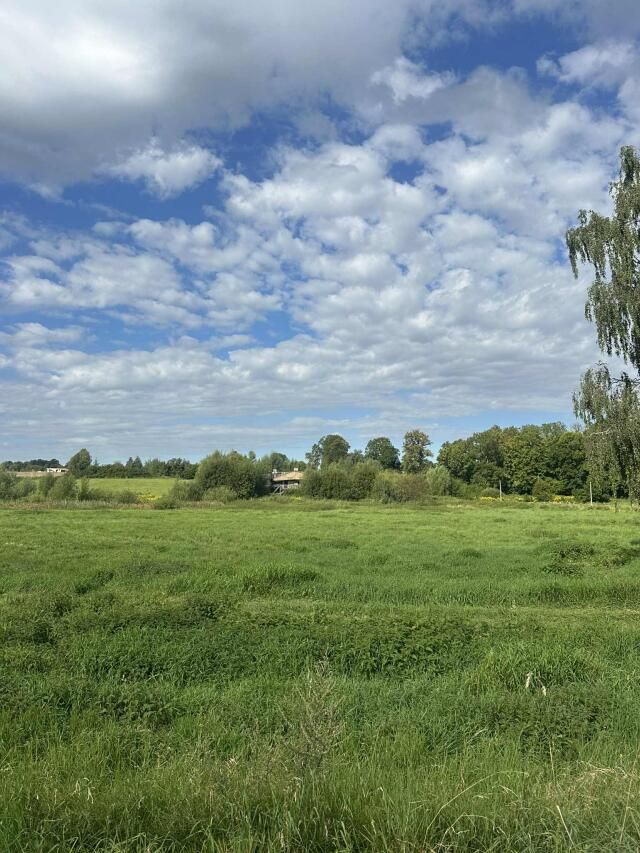 Działka Popowo Salęckie. Zdjęcie 7