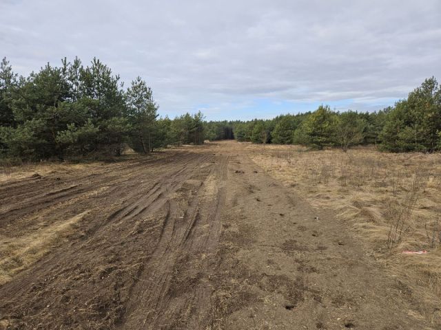 Działka budowlana Serock. Zdjęcie 10