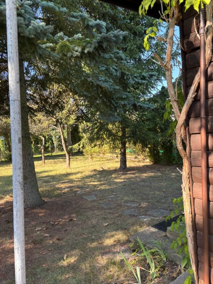 Działka rod Kajetany. Zdjęcie 2