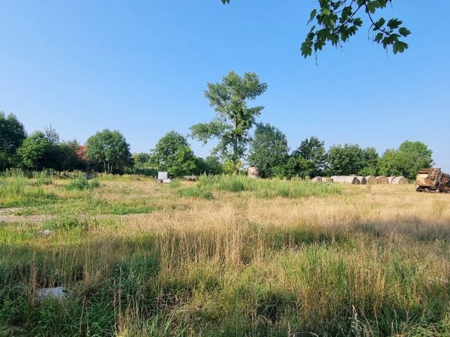 Działka budowlana Jaksin. Zdjęcie 8