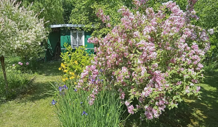 Działka rod Zielona Góra Zacisze, ul. Agrestowa
