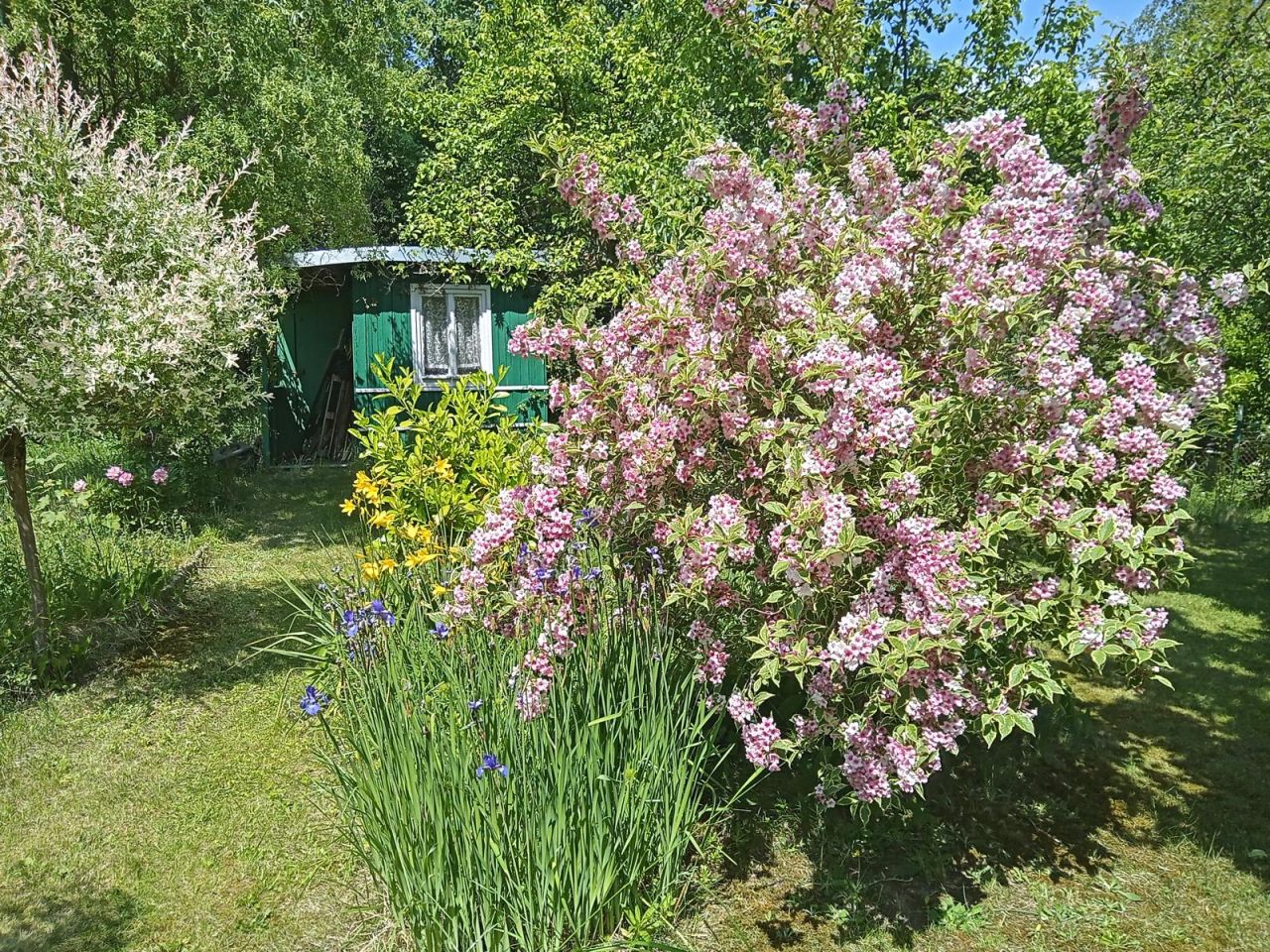 Działka rod Zielona Góra Zacisze, ul. Agrestowa. Zdjęcie 1
