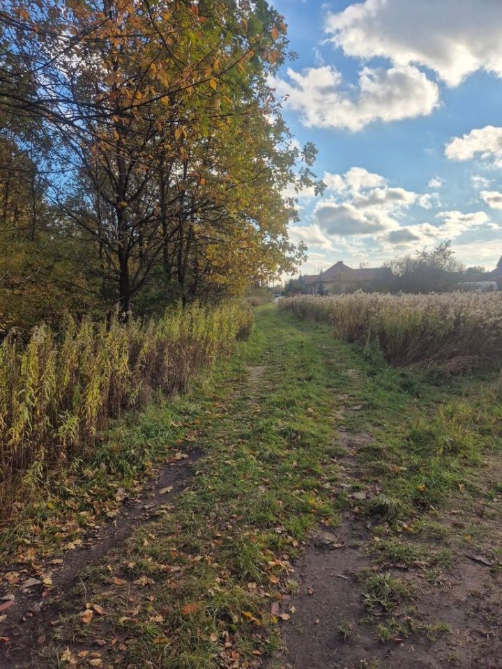 Działka budowlana Pysznica, ul. Topolowa. Zdjęcie 4