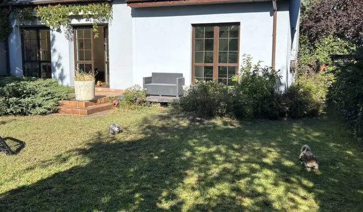 dom szeregowy, 4 pokoje Żyrardów, ul. 11 Listopada