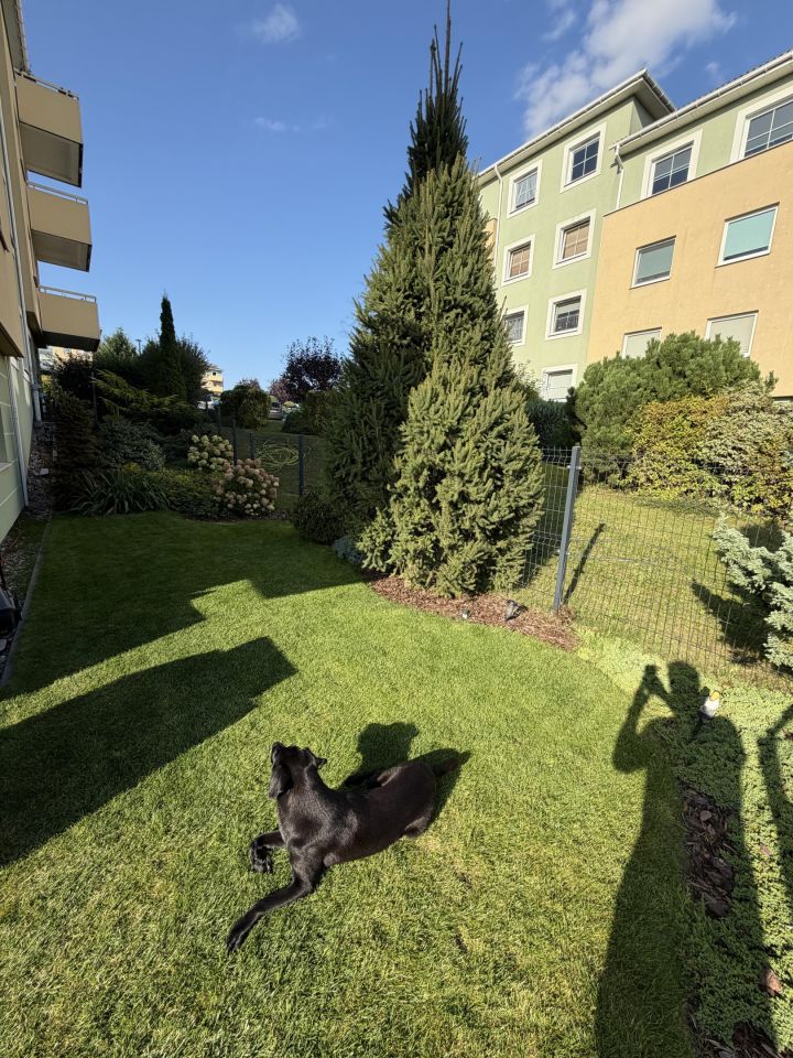 Mieszkanie 3-pokojowe Gdańsk Zakoniczyn, ul. Wacława Kłoczkowskiego. Zdjęcie 9