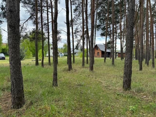 Działka budowlana Boszkowo-Letnisko. Zdjęcie 5