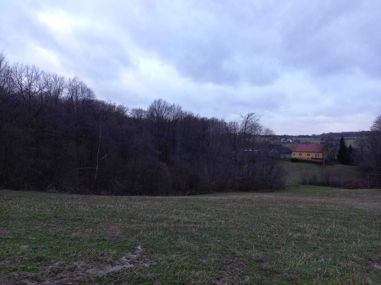 Działka rolno-budowlana Tłuczań. Zdjęcie 3