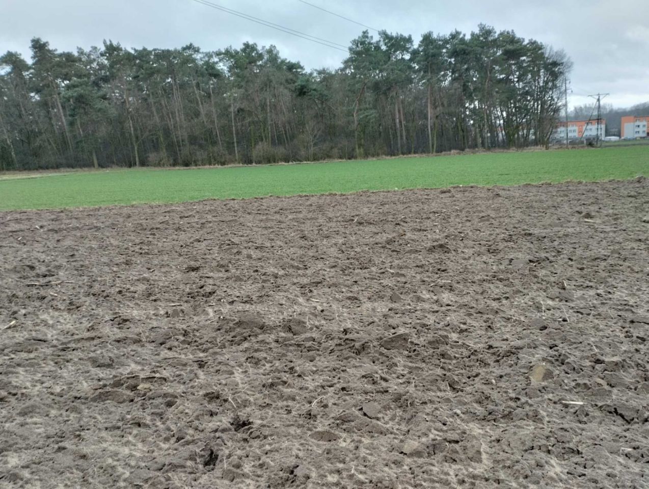 Działka Psary. Zdjęcie 4