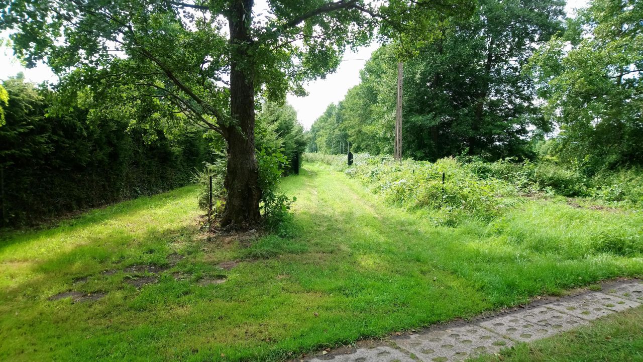 Działka rolno-budowlana Izbica Lisia Góra. Zdjęcie 12