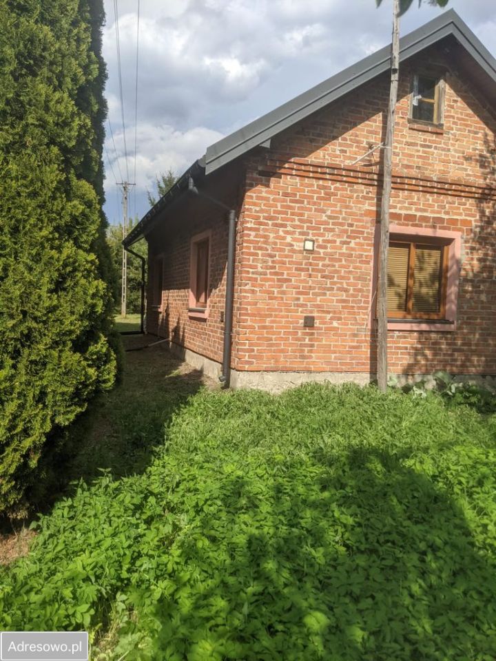 Działka siedliskowa Cegielnia. Zdjęcie 6