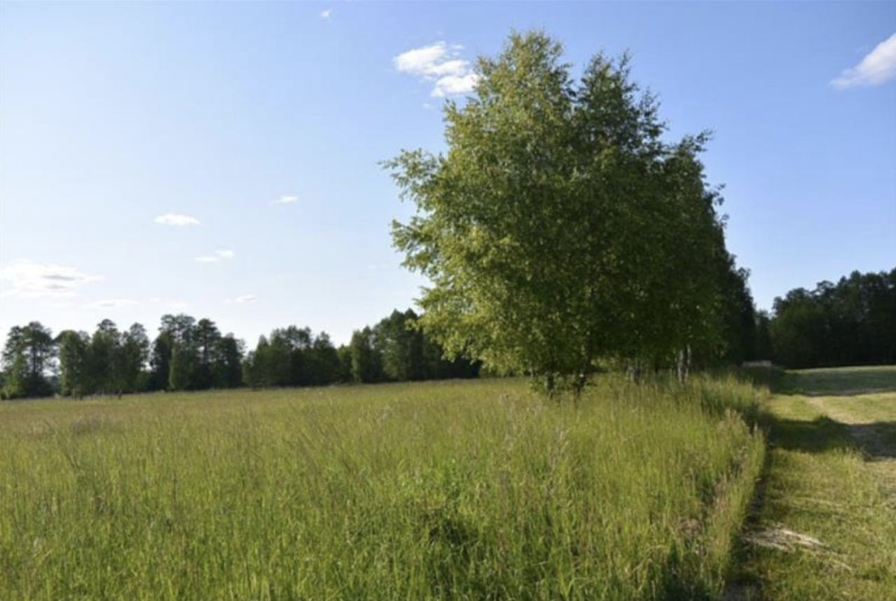 Działka rolna Guzew. Zdjęcie 2