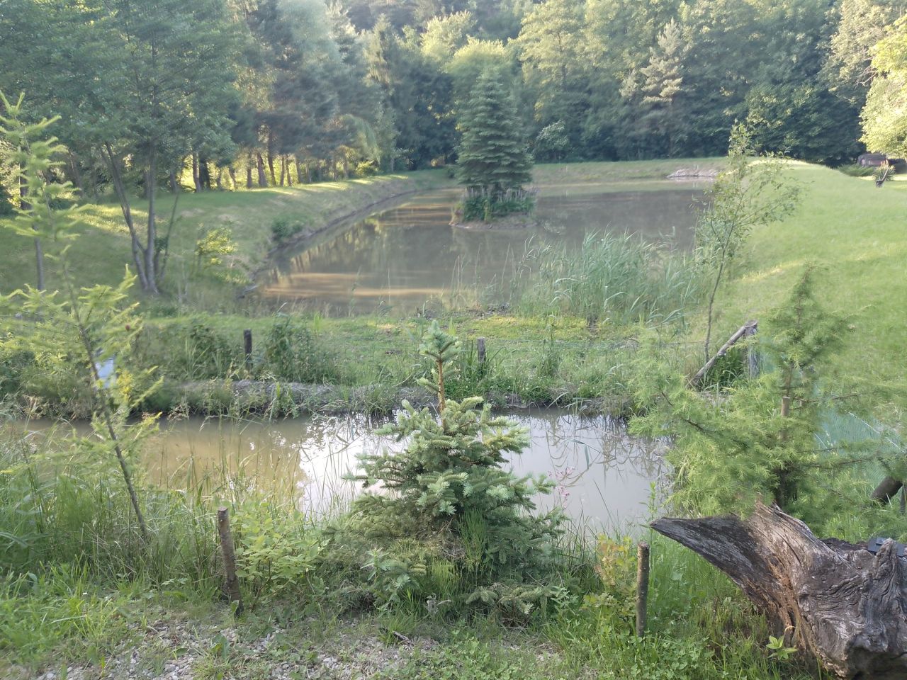 Działka rolno-budowlana Witoszyńce. Zdjęcie 6