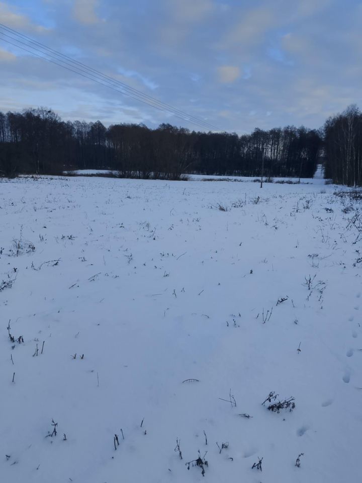 Działka budowlana Powidz Ługi, ługi. Zdjęcie 2