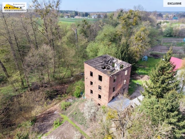 Działka budowlana Różańsko. Zdjęcie 7