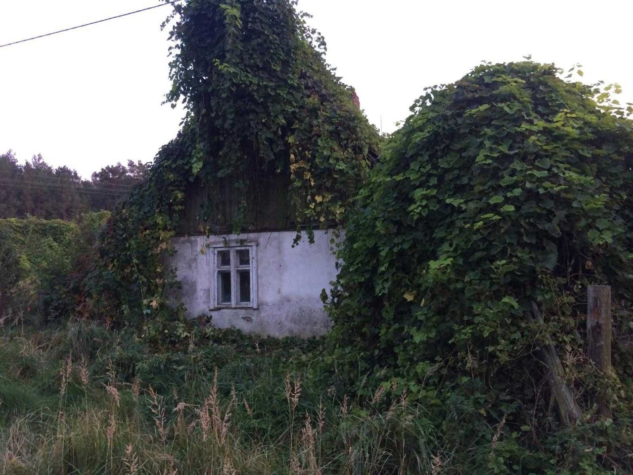 Działka rolno-budowlana Bagniewo. Zdjęcie 7