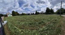 Działka budowlana Pasieki, Kotwiczą. Zdjęcie 3