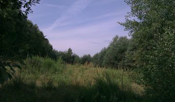Działka rekreacyjna Mędrów