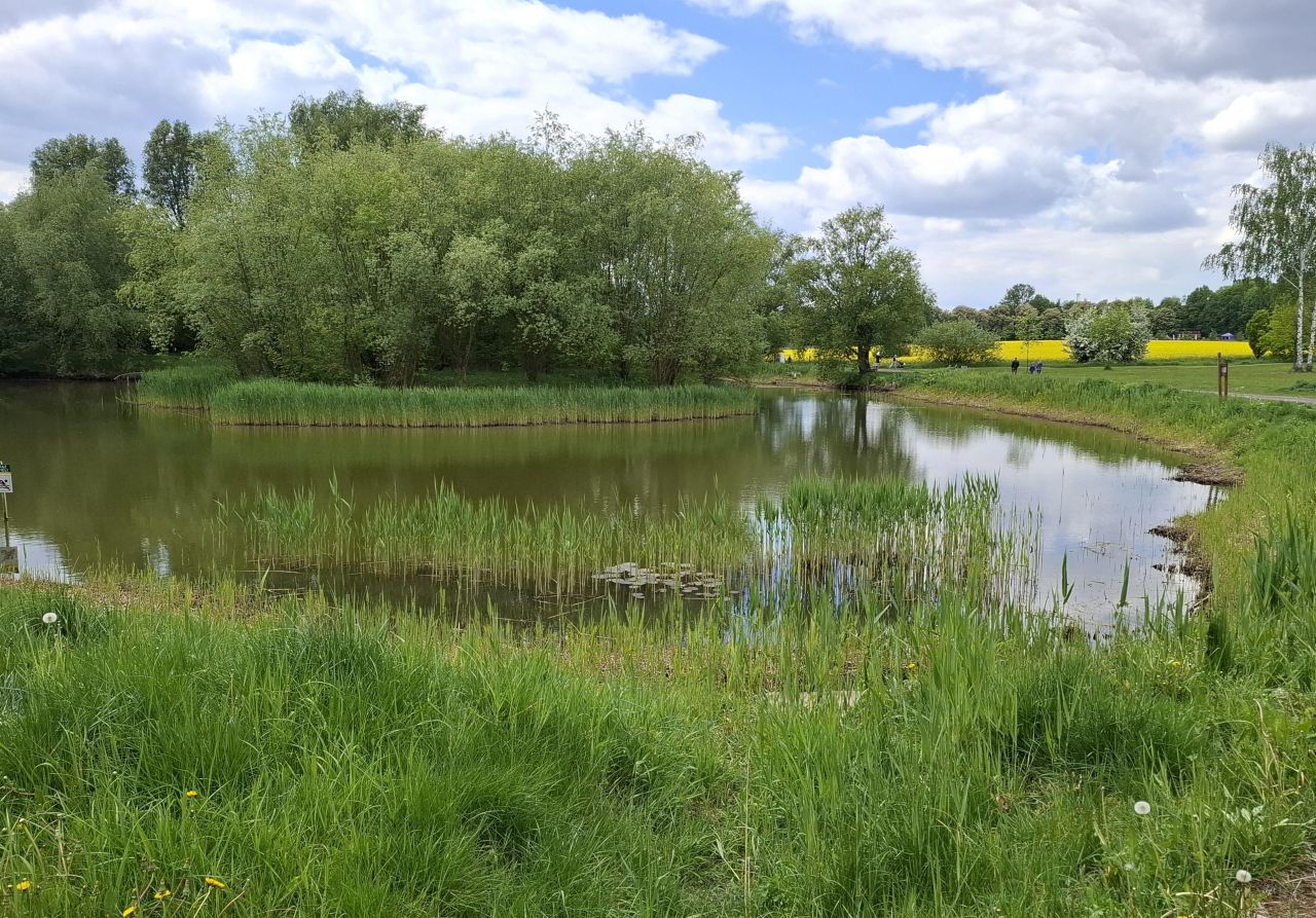 dom wolnostojący, 6 pokoi Siemianowice Śląskie Pszczelnik, ul. Żurawia. Zdjęcie 31