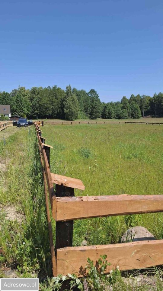 Działka budowlana Dąbrowa. Zdjęcie 9